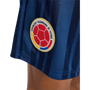 adidas Men's Colombia EQT Shorts