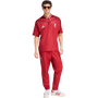 adidas Men's Liverpool FC Stadium Jersey