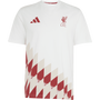 adidas Men's Liverpool FC Stadium Graphic Tee