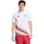 adidas Men's Liverpool FC Stadium Graphic Tee