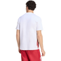 adidas Men's Liverpool FC Stadium Graphic Tee