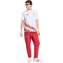adidas Men's Liverpool FC Stadium Graphic Tee