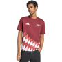 adidas Men's Arsenal Anthem Graphic Tee