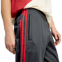 adidas Men's River Plate 125th Anniversary Track Pants