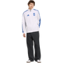 adidas Men's Greece Home Anthem Jacket
