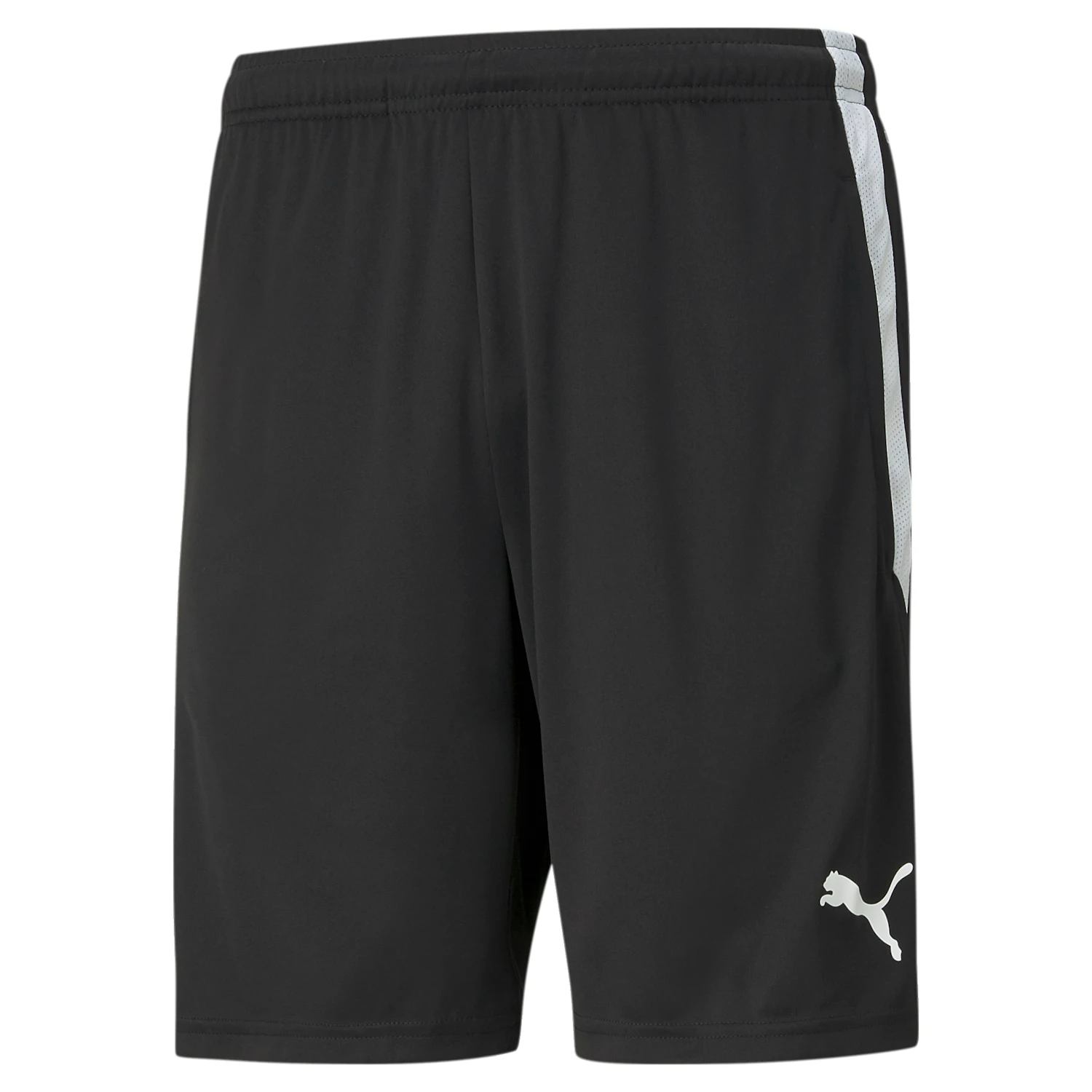 Puma Team Liga 25 Training Shorts