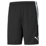 Puma Team Liga 25 Training Shorts