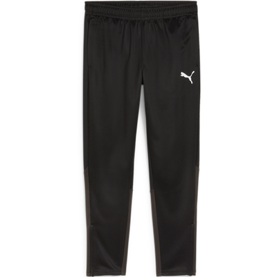 puma Teamgoal Training Pant