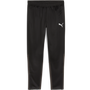 puma Teamgoal Training Pant