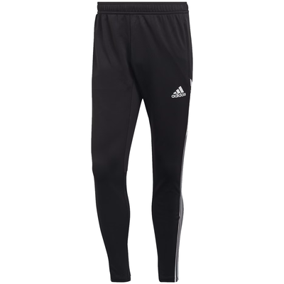 adidas Condivo 22 Training Pant