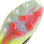 adidas F50 Elite AG Born for Goals