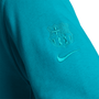 Nike FC Barcelona Men's Club Pullover Hoodie