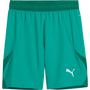 puma Teamfinal Short