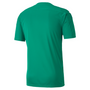 Camiseta gráfica Puma TeamFinal 21