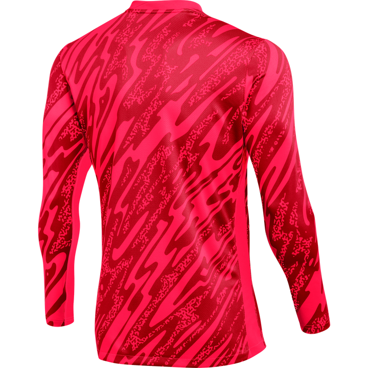 nike Dri Fit Gardien V Long Sleeve Goalkeeper Jersey