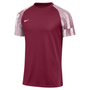 Camiseta Nike Dri-Fit de manga corta Academy