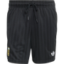 adidas Originals Argentina Men's Shorts