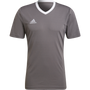 Camiseta adidas Entrada 22