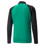 Puma Team Liga 25 Training Jacket