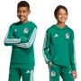 Sudadera con capucha adidas México Youth DNA