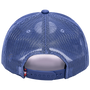 Fan Ink USA Atmosphere Icons Hat