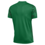Camiseta Nike Precision VII Dri-FIT