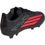 adidas Youth F50 League FG MG - Immortal DNA