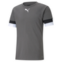Camiseta Puma Team Rise
