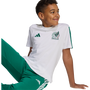 Camiseta adidas México ADN juvenil