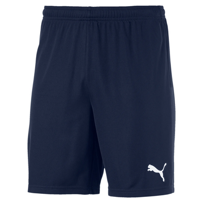 Puma TeamGoal 23 Knit Short