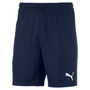 Puma TeamGoal 23 Knit Short