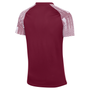 Camiseta Nike Dri-Fit de manga corta Academy