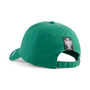 Puma Portugal FPF Culture Power Green Hat