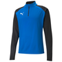 Puma Team Liga 25 Quarter Zip Top