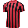 Camiseta Nike Dry Stripe División IV SS