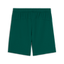 Pantalones cortos de local Puma Portugal 2025