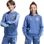 Sudadera con capucha adidas Argentina DNA para jóvenes
