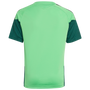 Camiseta de entrenamiento adidas México Tiro 26 para jóvenes