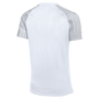 Camiseta Nike Dri-Fit de manga corta Academy
