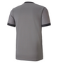 Camiseta Puma TeamGoal 23