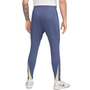 Nike Club América Academy Pro Pant