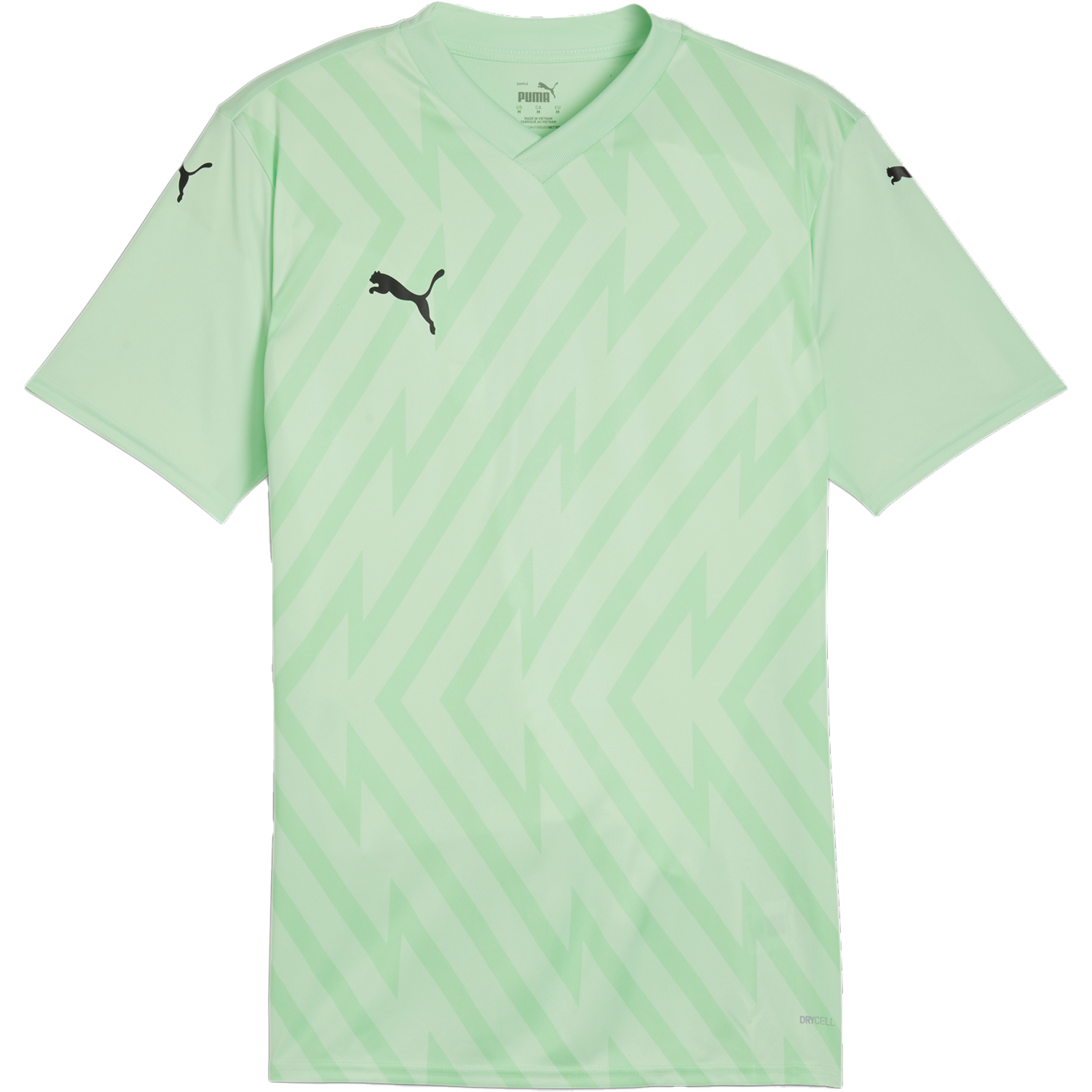 Puma TeamGLORY Jersey