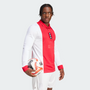 adidas Men’s Ajax Amsterdam 125th Anniversary Ls Jersey