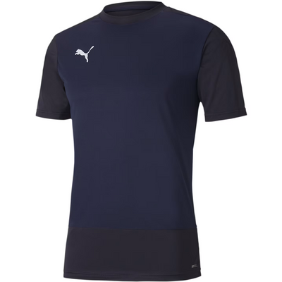 Puma TeamGoal 23 Training Jersey