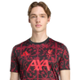Camiseta prepartido hombre adidas Liverpool FC 2025-26