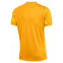Camiseta Nike Precision VII Dri-FIT