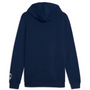 Puma Monterrey Men's Ftbl Culture Hoodie