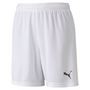 Puma TeamGoal 23 Knit Short