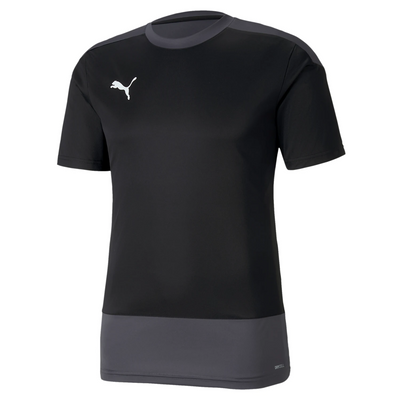 Puma TeamGoal 23 Training Jersey