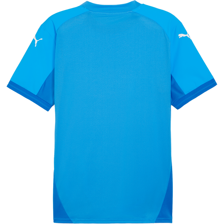 puma Teamfinal Jersey
